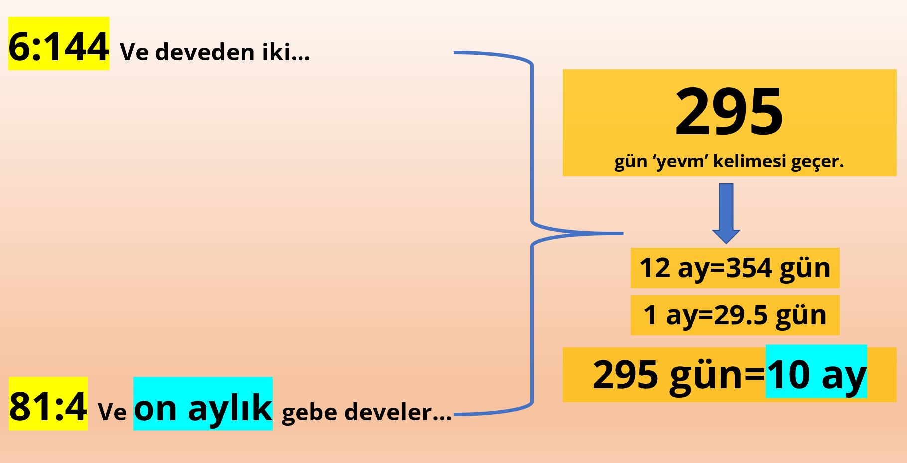 10 aylik gebe hamile develer 295 gun matematik mucizesi