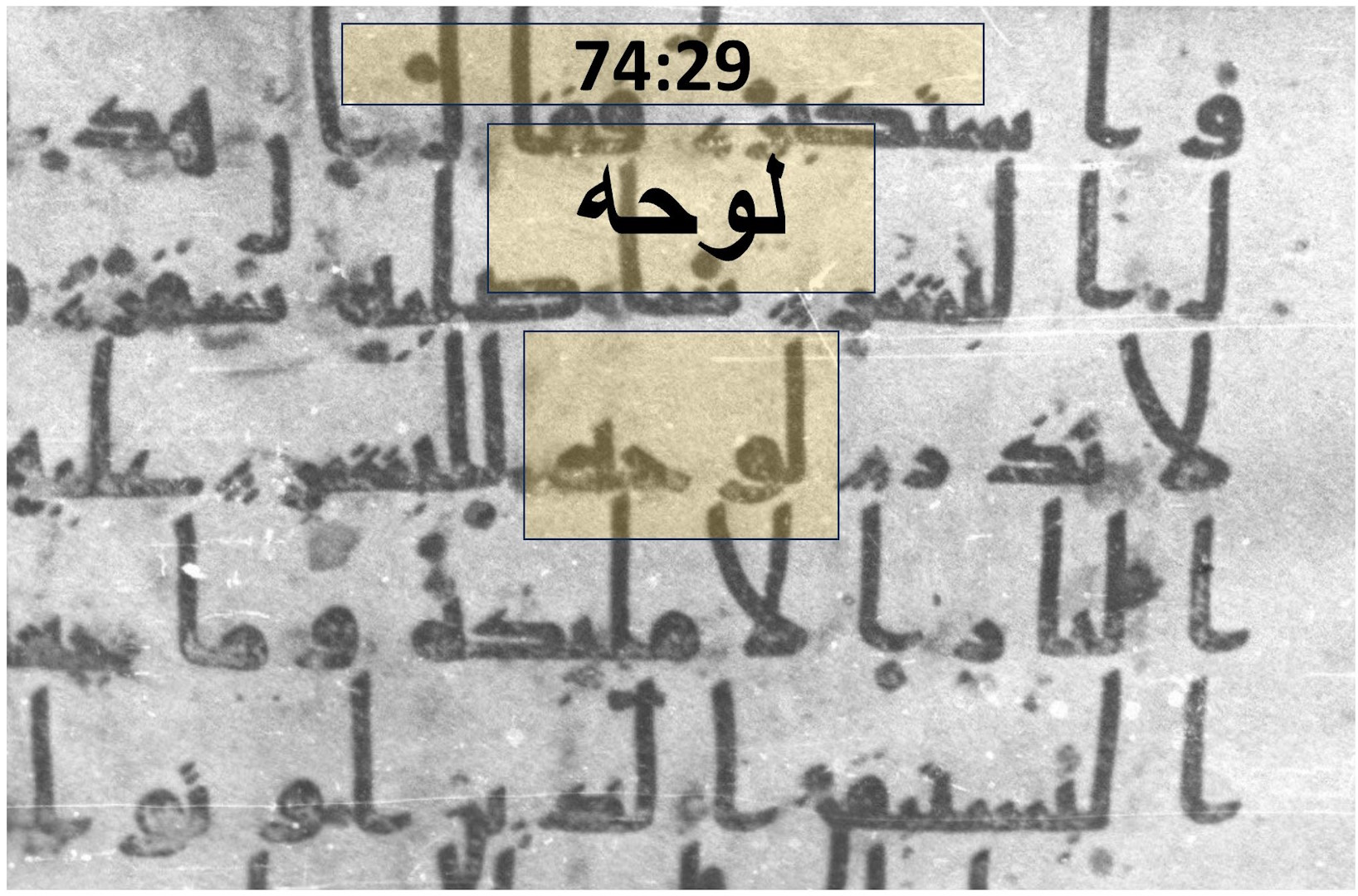 74 29 levvatun 19 mucizesi Kuran da varmi