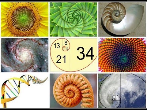 Fibonacci kuran mucizeler tovbe suresi