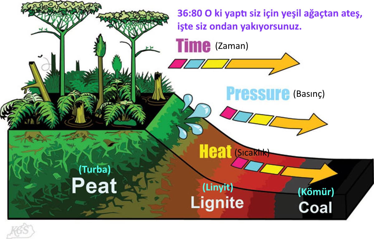 komur yesil agactan olusumu su kemikleri kim diriltecek kim onlara hayat verecek 1