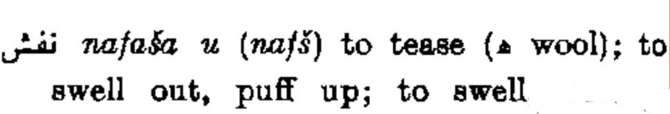 Hans Wehr 4th ed., page 1156 (of 1303) nafasa