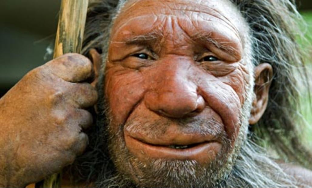Homo Neanderthalensis insani ve onceki kimseleri yarattik