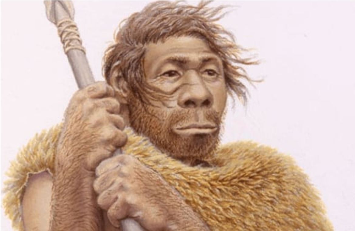 Homo Sapiens insani ve onceki kimseleri yarattik