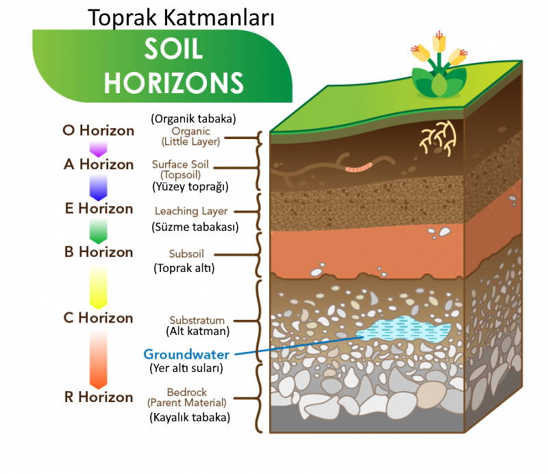 kadinlar bir tarladir oyleyse tarlaniza dilediginiz zaman gelin