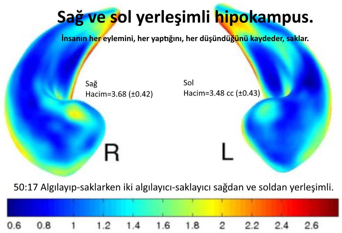 serefli yazicilar kerim yazicilar yazici melekler