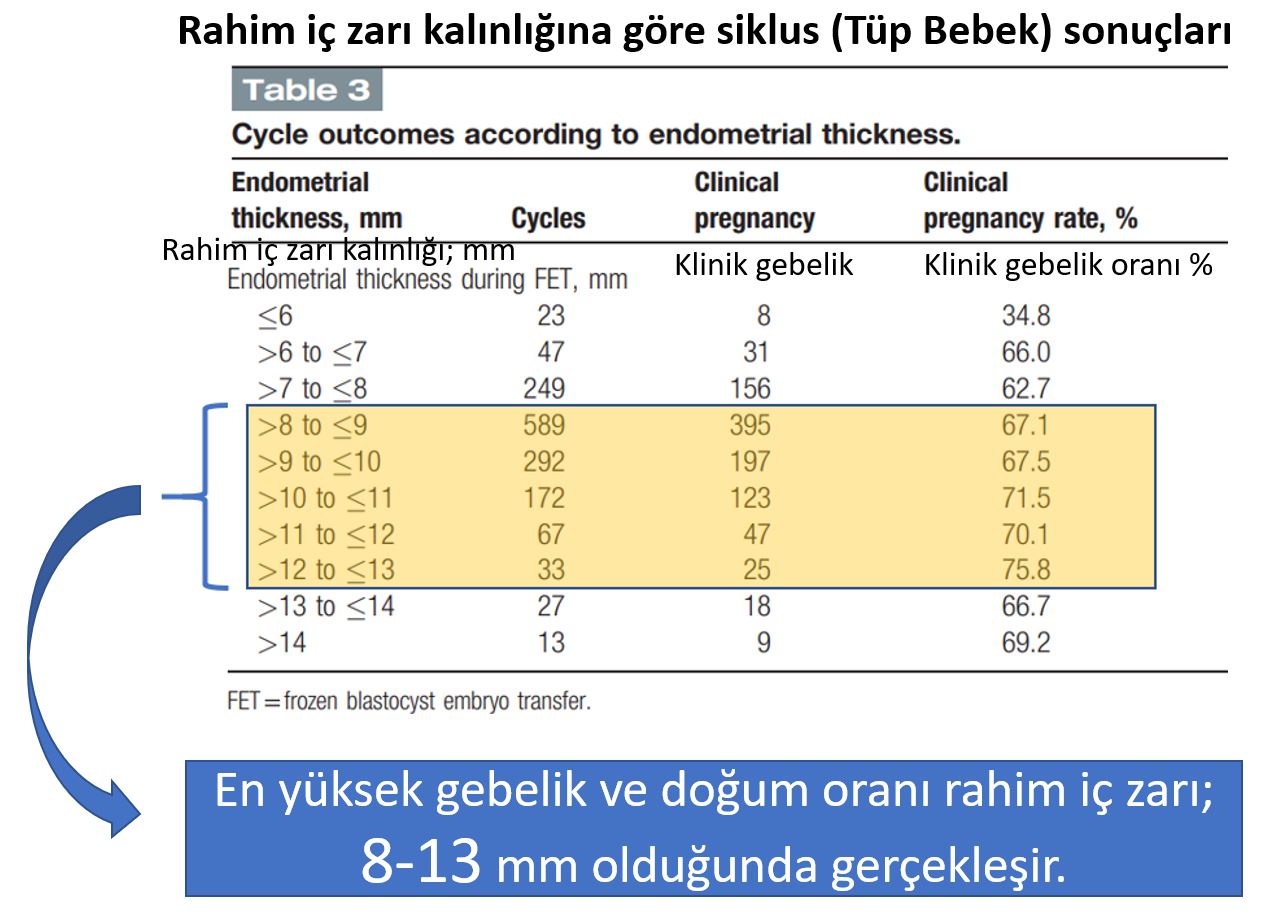 rahim ic tabakasi 8 13 mm en iyi gebelik