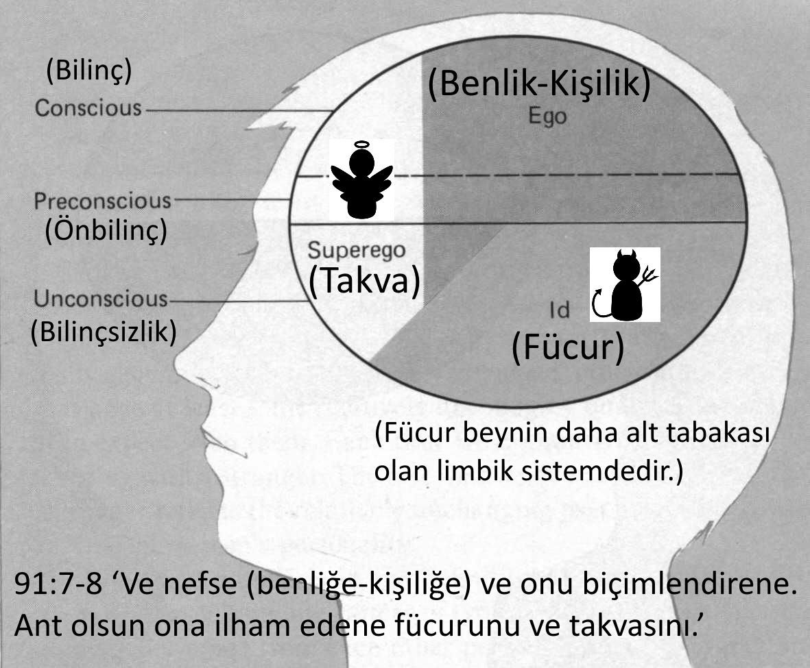 fucur takva nedir nefse ilham edilen fucur ve takva id ego superego kuran