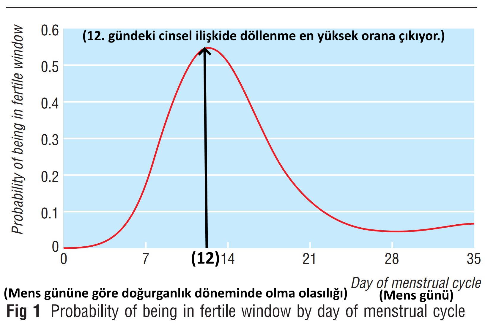 dollenme ve kuran 10 geceye 11 gun en yuksek gebelk orani var 12 gun