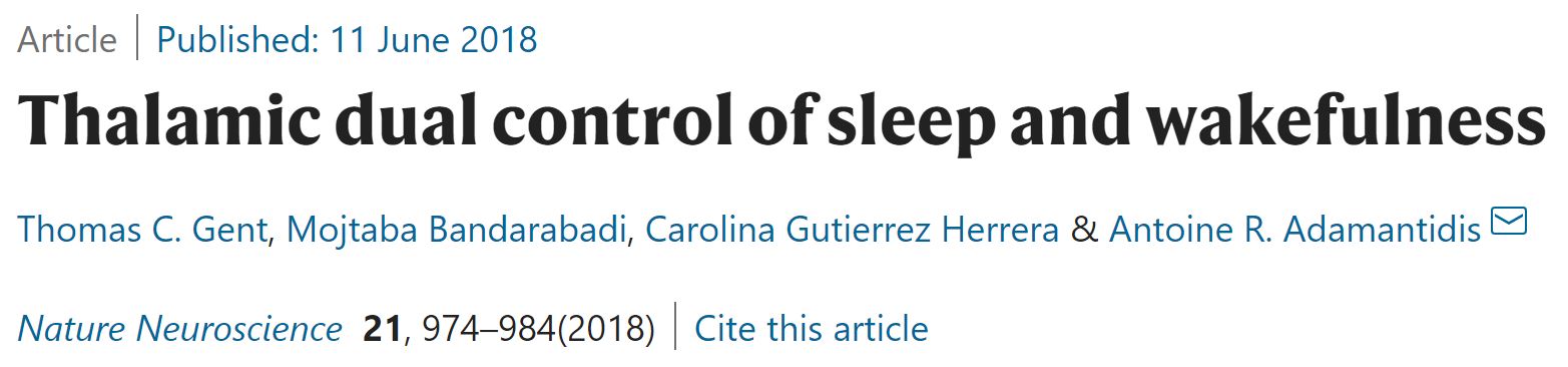 2020 09 28 17 40 59 Thalamic dual control of sleep and wakefulness   Nature Neuroscience   Opera